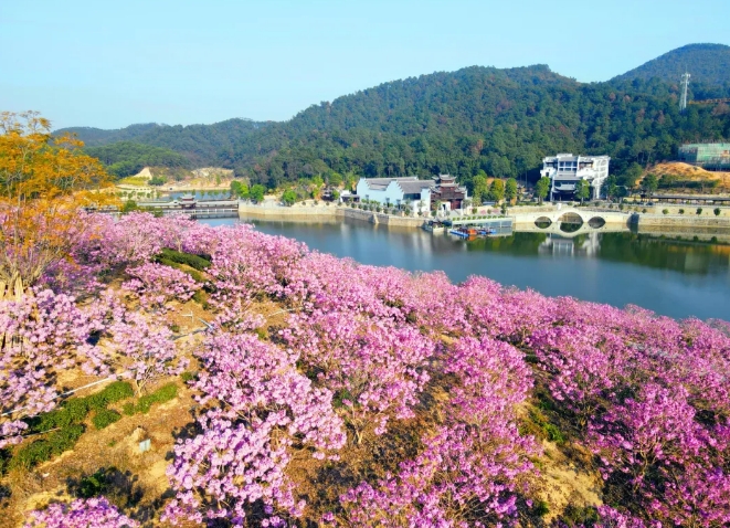 鴻業(yè)集團(tuán)鴻園花海歡迎您！