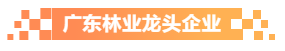 廣東林業(yè)龍頭企業(yè)